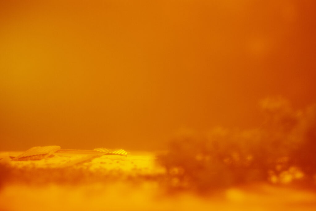 Mikael Madsen Landscape