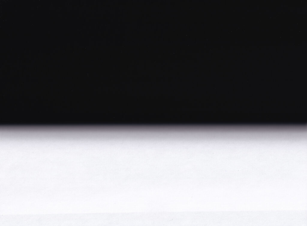 Work description: The image is made with a flatbed scanner and 1 piece of white A4 paper